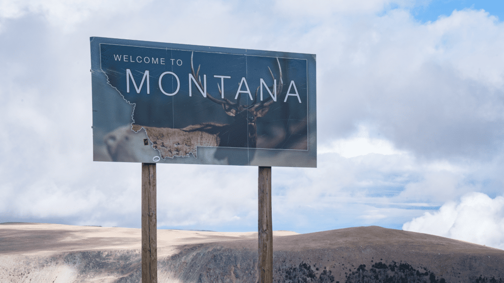 Brady Thomas Rice Flathead Montana